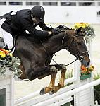 WIHS-10-21-09-DSC_2694-Andiamo-BradWolf-Hunters-DDeRosaPhoto.jpg