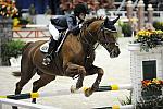 WIHS-10-21-09-DSC_2899-GoldenBoy-AnneGardner-Hunters-DDeRosaPhoto.jpg