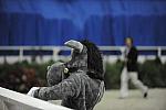 WIHS-10-23-09-DER_7222-Mascot-DDeRosaPhoto.jpg