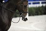 WIHS-10-22-09-DSC_4101-FernGully-TaylorAnnAdams-SmJrHtr15U-Misc-DDeRosaPhoto.jpg