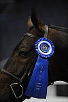 WIHS-10-23-09-LgJrHtr15U-DSC_7754-Bishonen-SamanthaSchaefer-Misc-DDeRosaPhoto.jpg