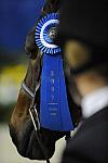 WIHS-10-23-09-LgJrHtr15U-DSC_7756-Bishonen-SamanthaSchaefer-Misc-DDeRosaPhoto.jpg