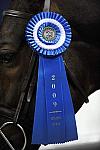 WIHS-10-23-09-LgJrHtr15U-DSC_7757-WinnerClass154-Bishonen-SamanthaSchaefer-Misc-DDeRosaPhoto.jpg