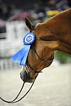 WIHS-10-23-09-LgJrHtr16-17-DSC_8154-Tiziano-JessicaSpringsteen-Misc-DDeRosaPhoto.jpg