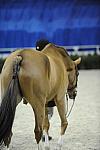 WIHS-10-25-09-DSC_2475-DDeRosaPhoto.jpg