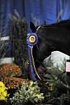 WIHS-10-25-09-MedPnyChampion-DSC_2150-Tuscany-MeredithDarst-Misc-DDeRosaPhoto.jpg
