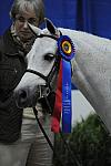 WIHS-10-25-09-SmPnyChampion-DSC_1778-Elation-MeredithDarst-Misc-DDeRosaPhoto.jpg