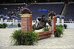WIHS-10-24-09-Cl102SmPny-DSC_9044-Ponies-DDeRosaPhoto-RicoSuave-AleeceJarman-Ponies-DDeRosaPhoto.jpg
