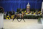 WIHS-10-24-09-Cl185WIHSPnyEqFinals-DER_8273-PromiseToo-VictoriaColvin-Ponies-DDeRosaPhoto.jpg