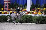 WIHS-10-24-09-DER_7899-BrownlandsMrMack-MeredithDarst-Ponies-DDeRosaPhoto.jpg