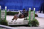 WIHS-10-24-09-DER_7907-KnockOnWood-VivianYowan-Ponies-DDeRosaPhoto.jpg