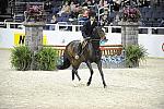 WIHS-10-24-09-DER_8119-Cl122LgPny-NotoriousR-MeredithDarst-Ponies-DDeRosaPhoto.jpg