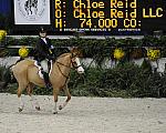 WIHS-10-25-09-DSC_1812-Ponies-DDeRosaPhoto.jpg