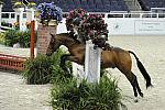 WIHS-10-25-09-DSC_1838-Cleverist-VictoriaColvin-Ponies-DDeRosaPhoto.jpg