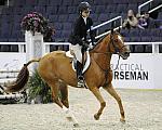 WIHS-10-25-09-LgPnyHtr-DSC_2237-LandsEndMadHatter-LucilleOken-Ponies-DDeRosaPhoto.jpg