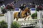 WIHS-10-25-09-LgPnyHtr-DSC_2239-LandsEndMadHatter-LucilleOken-Ponies-DDeRosaPhoto.jpg