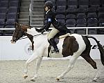 WIHS-10-25-09-LgPnyStke-DSC_2348-Solaris-MargaretLuck-Ponies-DDeRosaPhoto.jpg