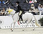 WIHS-10-25-09-LocHtrFinals-Pns-DSC_2713-ChinaBlue-StaceySchaefer-Ponies-DDeRosaPhoto.jpg