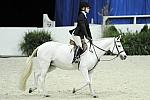 WIHS-10-25-09-MedPny-DSC_1793-HillcrestBlueCwilt-MadelineThatcher-Ponies-DDeRosaPhoto.jpg