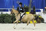 WIHS-10-25-09-MedPny-DSC_1806-BenleaAristocrat-ChloeReid-Ponies-DDeRosaPhoto.jpg