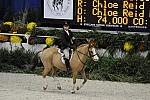 WIHS-10-25-09-MedPny-DSC_1812-BenleaAristocrat-ChloeReid-Ponies-DDeRosaPhoto.jpg