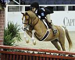 WIHS-10-25-09-SmPnyStke-DSC_1640-JerryLee-BergenSanderford-Ponies-DDeRosaPhoto.jpg