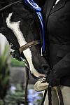 WIHS-10-22-09-DSC_4993-Mirasol-KelseyThatcher-SmJrHtr16-17-Presentations-DDeRosaPhoto.jpg