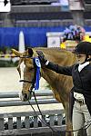 WIHS-10-25-09-DSC_2470-Braveheart-AllisonToffolon-Presentations-DDeRosaPhoto.jpg