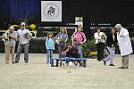 WIHS-10-23-09-DER_7256-Terriers-DDeRosaPhoto.jpg