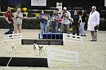 WIHS-10-23-09-DER_7266-Terriers-DDeRosaPhoto.jpg