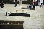 WIHS-10-23-09-DER_7278-Terriers-DDeRosaPhoto.jpg