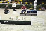 WIHS-10-23-09-DER_7297-Terriers-DDeRosaPhoto.jpg