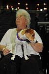 WIHS-10-23-09-DSC_8810-Terriers-DDeRosaPhoto.jpg