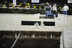 WIHS-10-24-09-DSC_0582-Terriers-DDeRosaPhoto.jpg