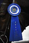 WIHS-10-23-09-DSC_7757-Bishonen-SamanthaSchaefer-Winners-DDeRosaPhoto.jpg