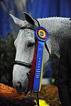 WIHS-10-23-09-DSC_8430-SmJr16-17Ch-Lyle-AbbyOMara-Winners-DDeRosaPhoto.jpg