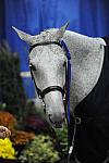WIHS-10-23-09-DSC_8434-SmJr16-17Ch-Lyle-AbbyOMara-Winners-DDeRosaPhoto.jpg