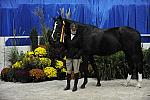 WIHS-10-23-09-DSC_8443-SmJrHtr16-17-Res-Mirasol-KelseyThatcher-Winners-DDeRosaPhoto.jpg