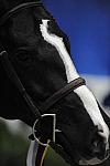 WIHS-10-23-09-DSC_8446-SmJrHtr16-17-Res-Mirasol-KelseyThatcher-Winners-DDeRosaPhoto.jpg
