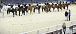 WIHS-10-23-09-DSC_8450--Winners-DDeRosaPhoto.jpg