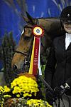 WIHS-10-23-09-DSC_8486-LgJrWkgHtrResCh-Charade-JacquelineLubrano-Winners-DDeRosaPhoto.jpg