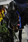 WIHS-10-24-09-DSC_9639-Winners-DDeRosaPhoto.jpg