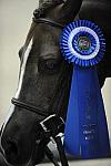 WIHS-10-25-09-DSC_1610-Winners-DDeRosaPhoto.jpg