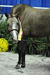 WIHS-10-25-09-DSC_2163-PromiseToo-DDeRosaPhoto.jpg