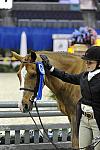 WIHS-10-25-09-DSC_2470-Winners-DDeRosaPhoto.jpg