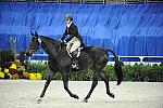 WIHS-10-25-09-LocalHtrHrs-DSC_2851-GranTurismo-AngeeQuattro-Kerns-Winners-DDeRosaPhoto.jpg