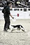 WIHS-10-23-09-DER_7551-ZakGeorge-DDeRosaPhoto.jpg