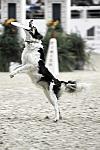 WIHS-10-23-09-DER_7553-ZakGeorge-DDeRosaPhoto.jpg