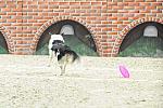 WIHS-10-23-09-DER_7564-ZakGeorge-DDeRosaPhoto.jpg