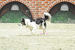 WIHS-10-23-09-DER_7566-ZakGeorge-DDeRosaPhoto.jpg
